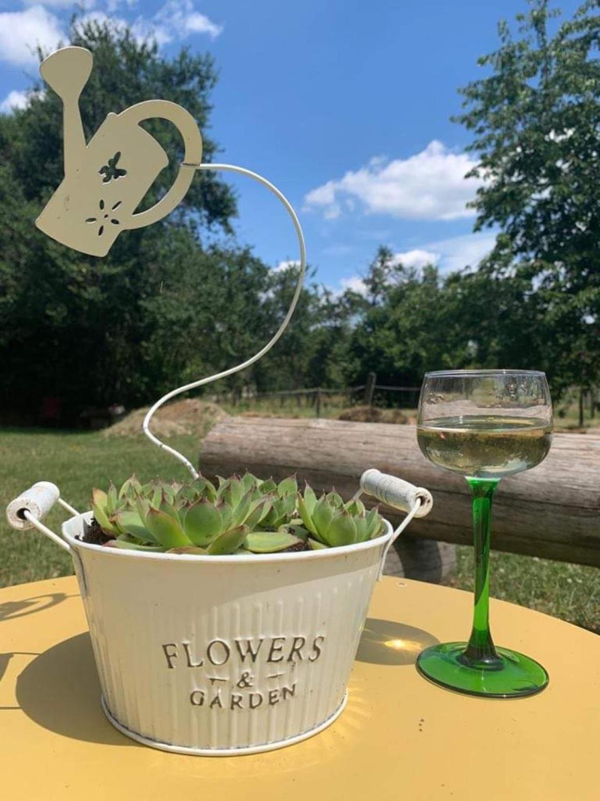Maison D Hotes Spa Pivoine Et Colibri Domfessel Esterno foto